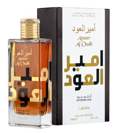 Ameer Al Oudh