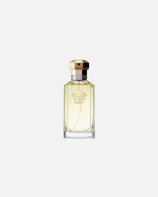 Versace Pour Homme
